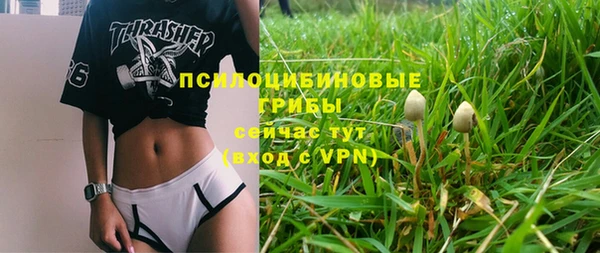 СК Богородск