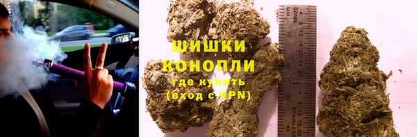 СК Богородск