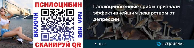 Купить закладки  Оха  Галлюциногенные грибы Psilocybe 