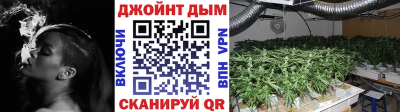 Конопля марихуана Оха